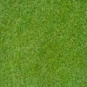 Grass Types of Fair Hills, NJ
