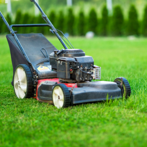 How Important Is It To Mow Your Lawn?