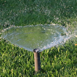 5 Things You Didn’t Know Might Be Damaging Your Lawn!