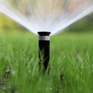 Do I Need Sprinklers To Keep My Lawn Healthy?