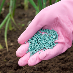 What Are The Benefits Of Using Fertilizer On Your Lawn?