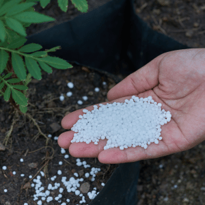 Benefits Of Lawn Fertilizer