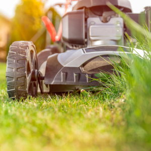 Lawn Care Myths