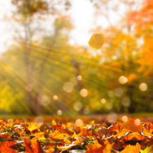 Fall Maintenance Checklist: Bridgewater, NJ
