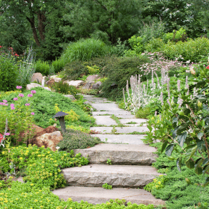 Does Fertilizer Harm your Garden?