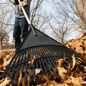 Fall Maintenance Checklist: Somerville, NJ