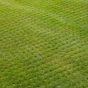 Lawn Prep For Aeration & Seeding