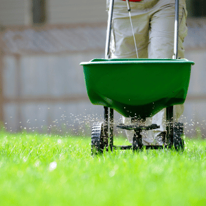 Is 13 13 13 Fertilizer Good For Lawn?