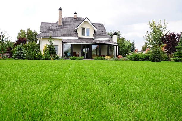 When to fertilizer your lawn? – Key days in the year to fertilize your lawn for optimal results!