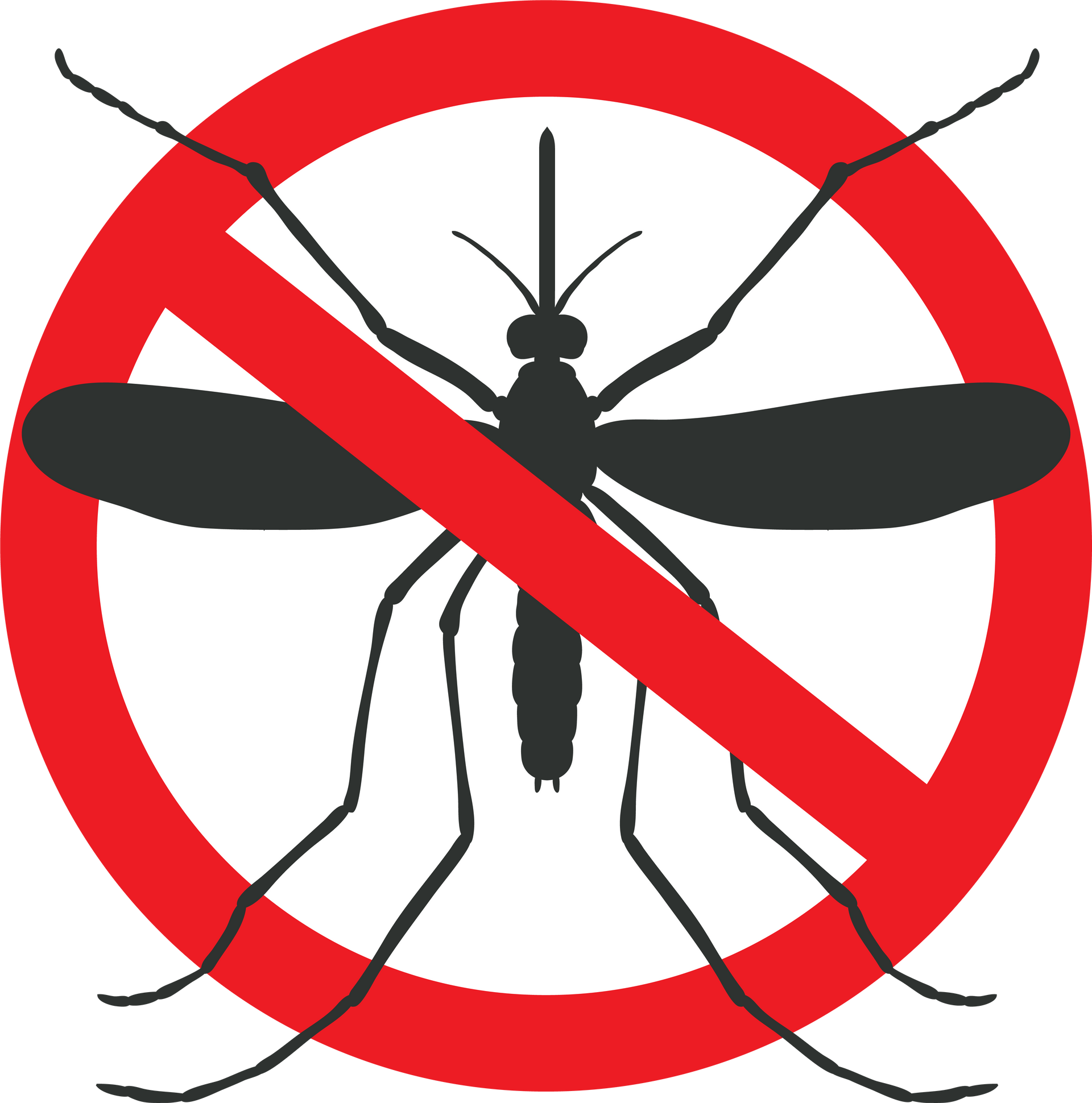 Tick Prevention for Pets in New Jersey: Keeping Your Pets Safe This Summer