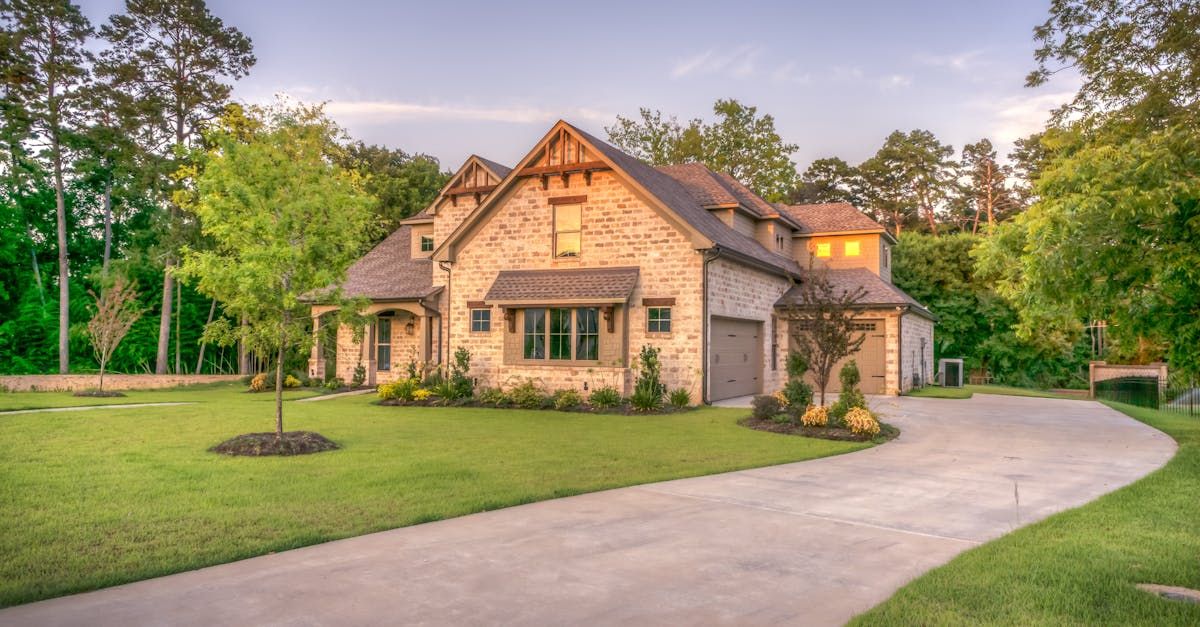Gardening and Landscaping Ideas for Your New Jersey Backyard: Stay Pest-Free