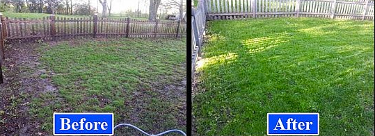 Why Fall is the Best Time for Lawn Aeration in New Jersey