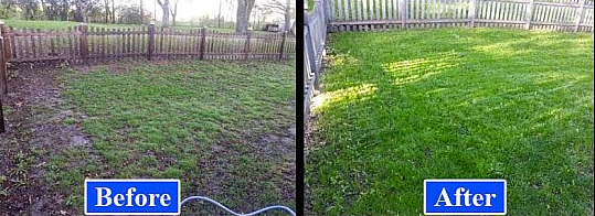 Before And After Lawn Overseeding